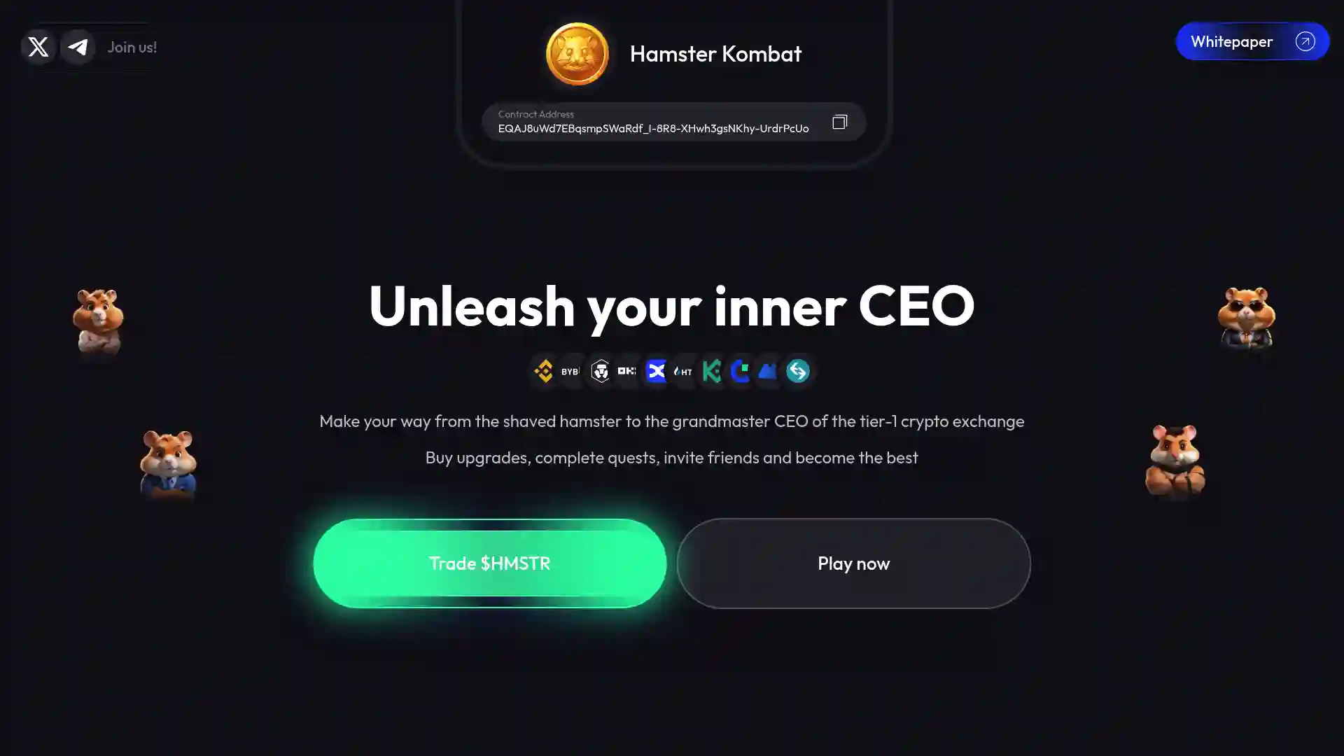 hamster-kombat background